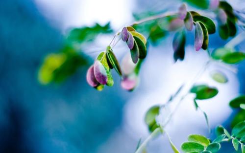 11.在强烈的家庭爱的照顾下，年轻的生活从第一次的大哭变成了第一次独自行走。第一句话是爸爸妈妈长成英俊的少年和年轻的女孩，生命之花深情。给下一个浇水真是太美了。