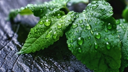 11.我们的快乐，谁在和我们一起笑？家庭爱情正在达到高潮！