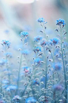 12.作为一生中的男人，他是儿子，还是父亲。上半生的儿子是父亲的影子，下半生的父亲是儿子的影子。