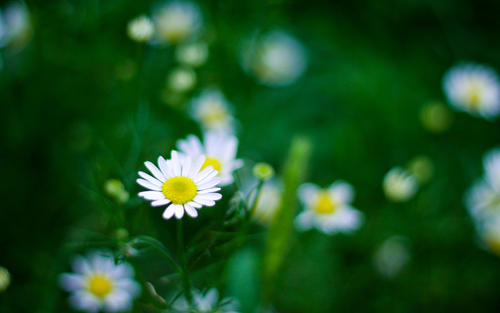 10.我很好。我们都很好。这是最重要的。