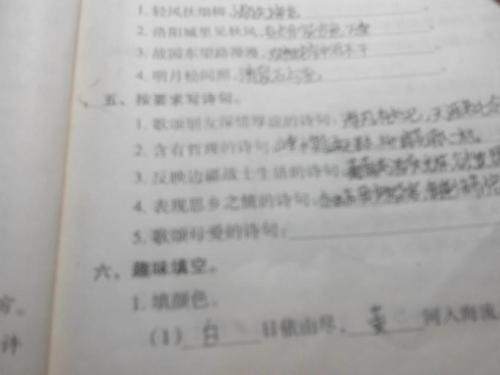 形容母爱的句子