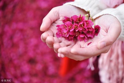 9.您之所以冷静，是因为您不惧怕死亡，而我比您的原因是冷静，因为我不惧怕您。 。 。