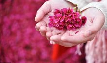 形容人离开心碎的句子说说