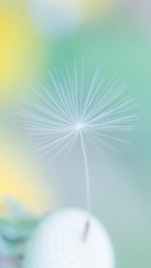 11.有一种关心，称为无私；有一种宽容，叫做宽恕。有一种支持，叫做给予；