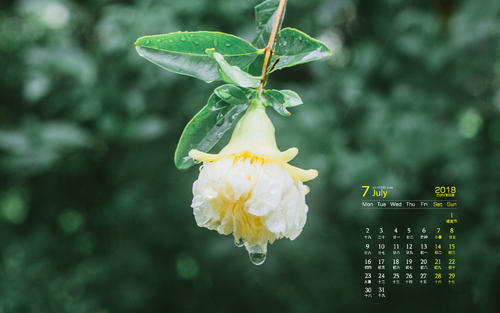 12.透明的灰色云层微弱地遮住了月光，在田野上方，似乎有轻烟在盘旋，股线掉下来，就像落入梦中一样。在波涛汹涌的大海中，耸立着一座山，形状像笔筒，因此被称为``笔架山''。