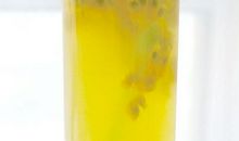 写父母渐渐老去亲情难舍的句子