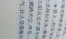 描写校园环境的句子