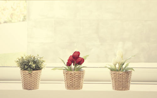 12.我会给您一只被遗忘的忧虑草，然后为您抓一只快乐的鸟。当快乐鸟与忘忧草一样飞翔时，请安排您的心。那是我对你的最大祝福。 ，我只希望您能老得开心，老得开心！