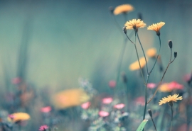 10.生活是一面镜子。当你对她微笑时，她对你微笑。