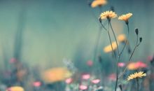 鼓励一个人开心的句子