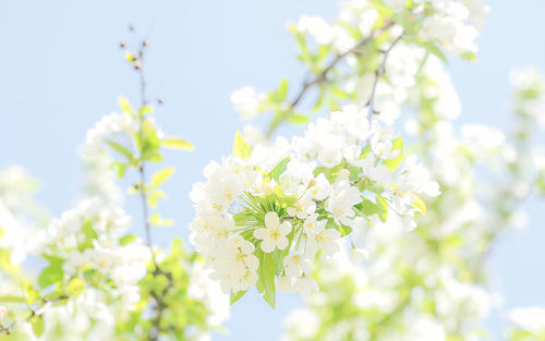 11.幸福实际上非常简单，学会改善就是幸福，家庭团聚就是幸福，“学习与实践”就是幸福