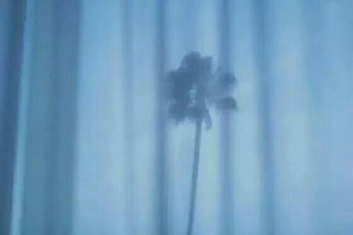 11.曾经以为你是氧气，结果只是一场闹剧。 ­