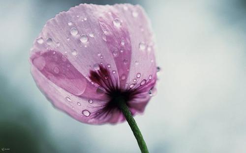 关于环境写亲情的句子大全 1