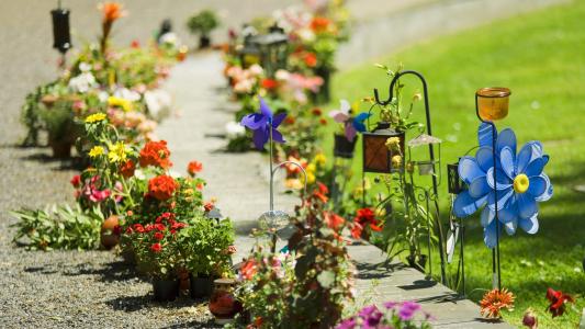 12.尽管蚁群很小，但距离它有一千英里。