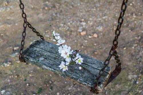 10.亲情是灯塔，为浪子的儿子照亮了道路。亲情是避难所，是流浪者的和平天堂。一家人的感情是一碗灵性鸡肉汤，照顾受伤的灵魂。家人的感情也太锋利了，这招对于那些不愿为打破华山而悔改的人。