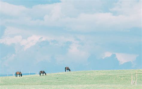 12.亲情是温柔的雨滴，滋润心脏