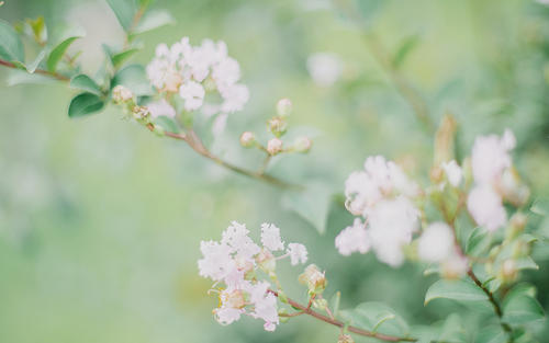 12.很高兴看到你伤心。