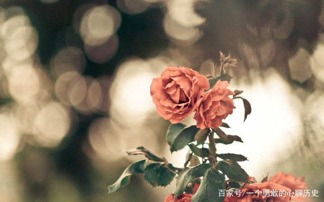 9.你亲吻我是因为你很孤独，而我不会抗拒是因为我爱你。