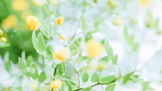 12.如果有一天我感到自己的选择之一是错误的，但是现在我不能再做一次，该怎么办？