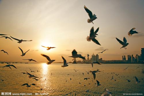 11.在广阔无边的蓝色海洋中,海浪不断汹涌澎ting,撞击在岩石上,使裂纹和裂缝轰鸣,并泛起白色泡沫。