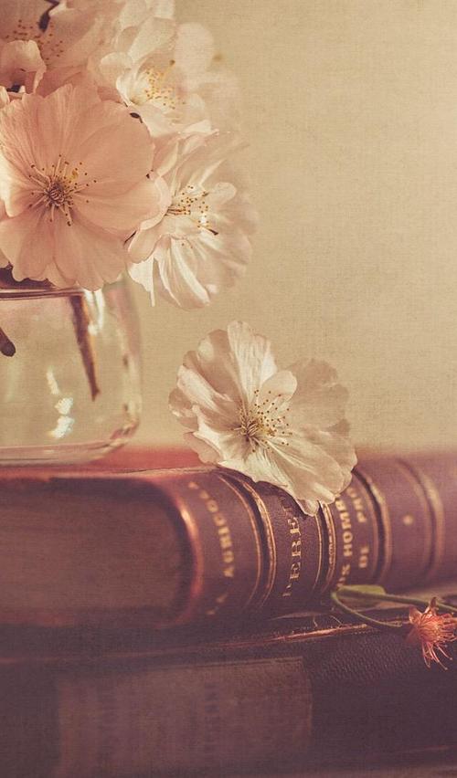 10.太阳慢慢地穿过云层，露出一张脸红的脸，像一个害羞的泵浦小姑娘一样看着地球。