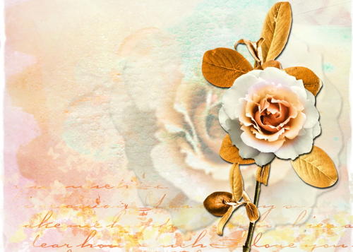 12.有人担心的流浪不叫流浪，与人的哭泣不叫悲伤，有人珍惜的感觉叫爱情，有人分享的幸福叫快乐，祝你幸福！