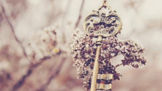 12.我在这个小强弟弟上上下下，他又矮又胖，比我矮了半个头。黑色的脸上有一双斜眼，他的头哑了。当他母亲问他时，他脸红了，看上去很乡村，所以我以发自内心的态度鄙视他。