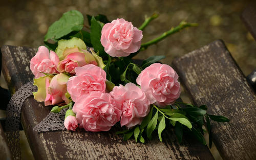 10.家庭团圆，每个人都笑；家庭美，家庭好；吃月饼，赏月，日子会越来越美好。团圆和节日，老少皆宜。在中秋节，祝大家和平与健康。