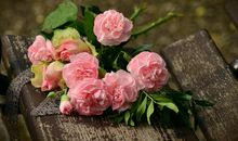 形容中秋开心的句子