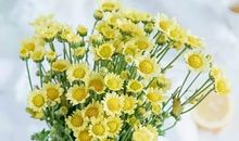 2019再见2020开心的句子