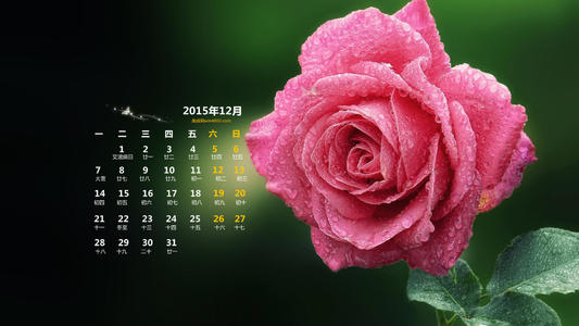 10.多问自己，您将变得更加独立，而少问别人，您将减少失望。我宁愿花时间培养我不完美的自我，也不愿浪费时间期待别人完善自己。晚安！