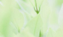 没有一件开心事的句子