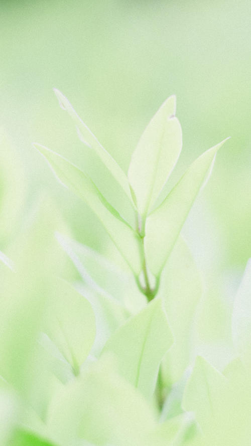 11.当您获胜时，不要忘记过去；失败时不要忘记未来