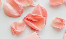 关于爱你不后悔的优美句子