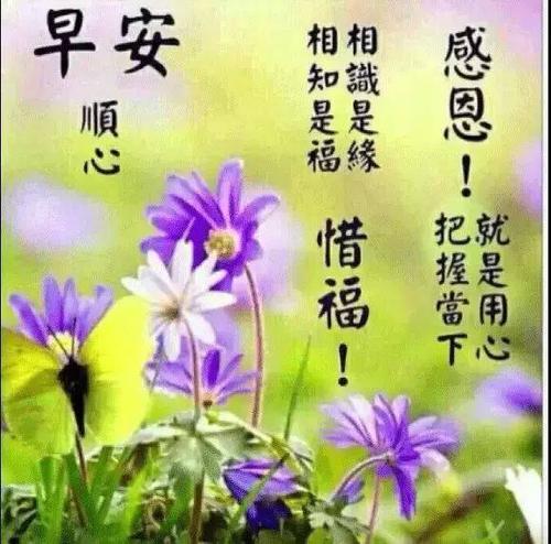 早上好问候语