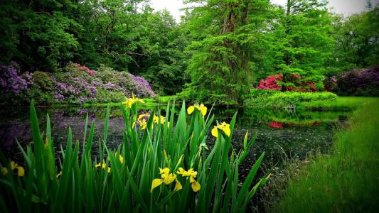 12.在一个人的一生中,幸福是最重要的。只要您每天早晨睁开眼睛,您就会赢,因为您还活着。