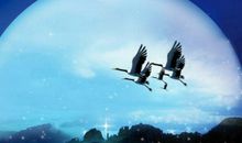 中秋节最新搞笑短信