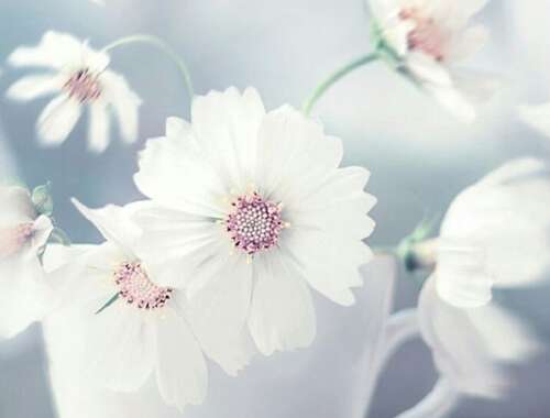 签名描述心情不好