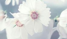 形容心情不好的签名