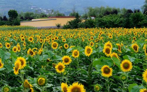 11.你知道我几秒钟后回到我身边时的幸福吗？