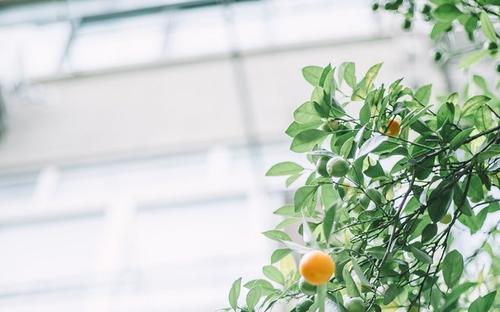 10.全心全意地做今天的事情。不论年级，都应该开心地上床睡觉