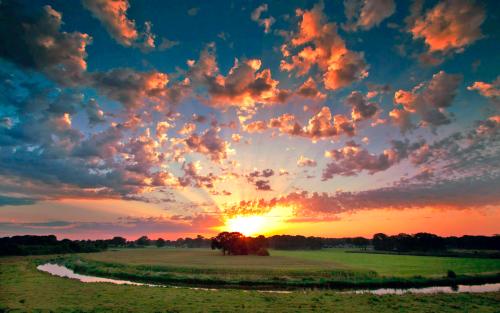 12.老师说零食是不允许上课的，所幸我今天带了火锅。