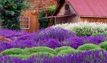 发朋友圈回家的开心句子 形容回来很开心的句子