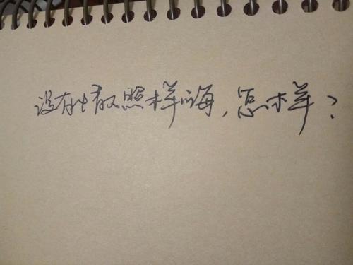 没有情人的情人节句子