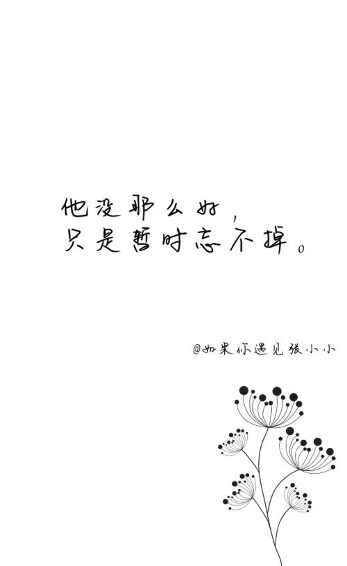 友谊和个性签名集