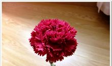 祝舅舅生日快乐短信