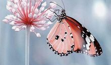 元宵给领导祝福短信