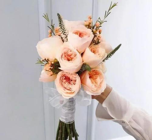 新年祝福老师的话