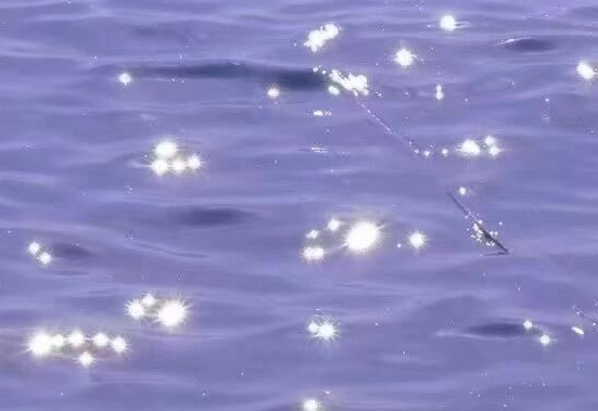 13.不要要求一个不知道细节的男人所谓的温暖。最好学会先点亮灯，然后等待碰撞和拥抱其他火花。