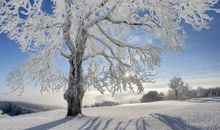 有钱没钱开心最重要的句子 有钱没钱都得开开心心的活着句子